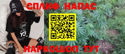 стаф Братск