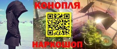 стаф Братск