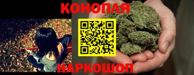 стаф Братск